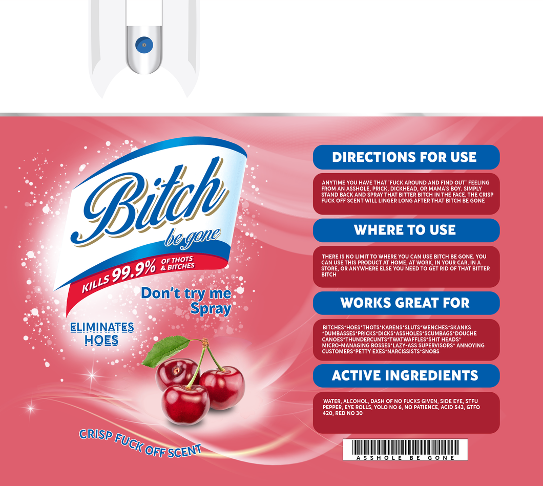 Bitch Be Gone - 20 oz  Stainless Steel Skinny Tumbler with lid and straw.